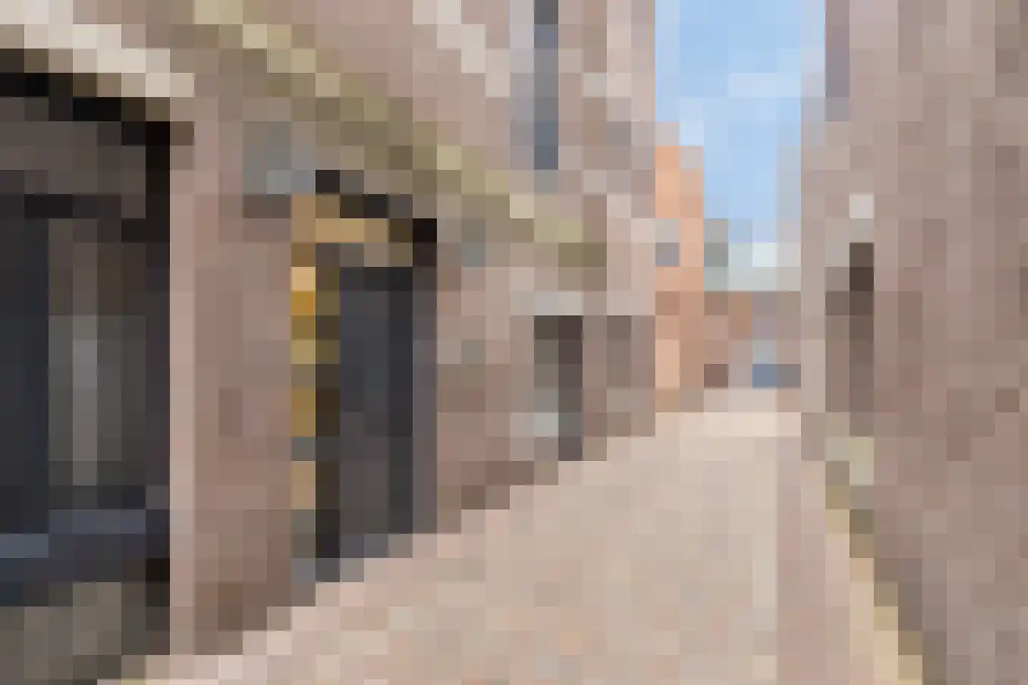 Ruische Poort 37 's-Hertogenbosch thumbnail 16