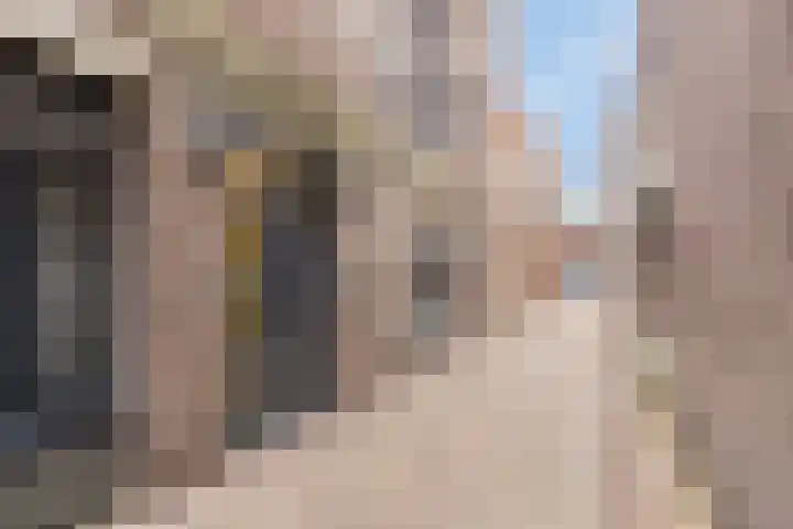Ruische Poort 37 's-Hertogenbosch thumbnail 17