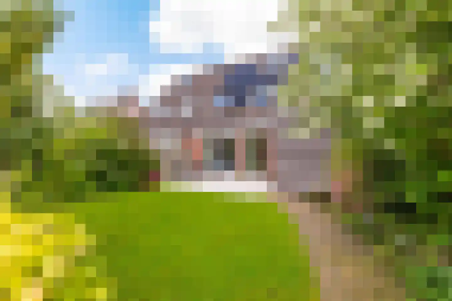 Ruischerwaard 15 Groningen thumbnail 16