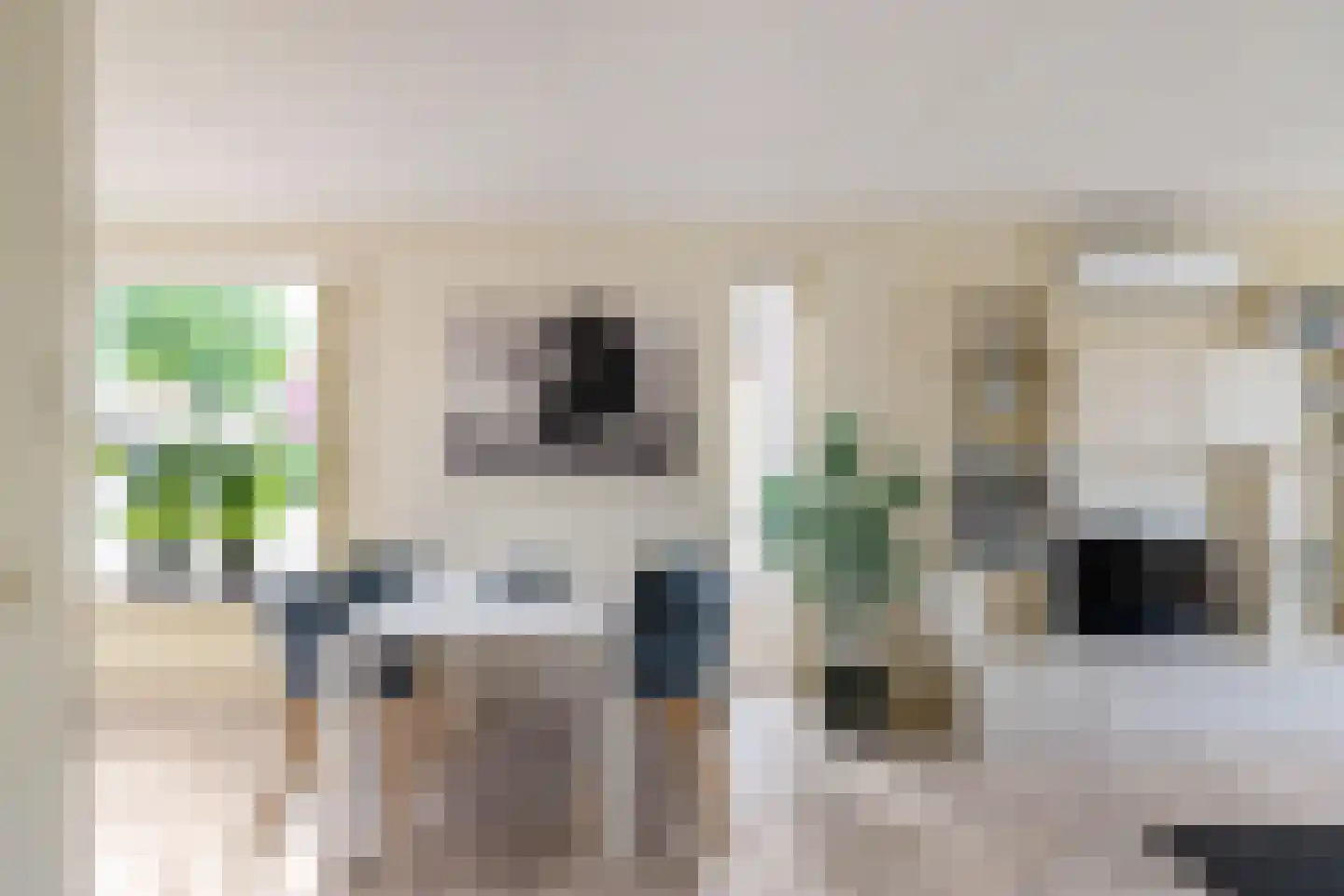 Ruischerwaard 15 Groningen thumbnail 19