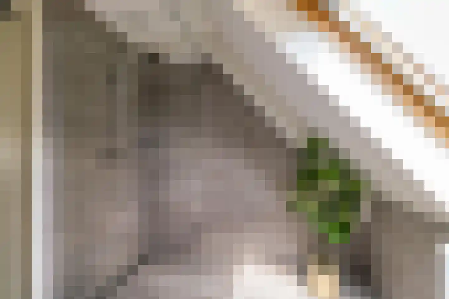Ruischerwaard 15 Groningen thumbnail 26