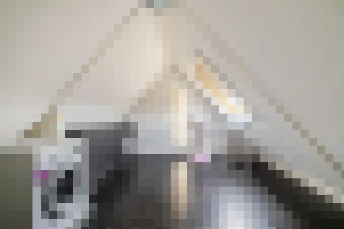 Ruischerwaard 15 Groningen thumbnail 29