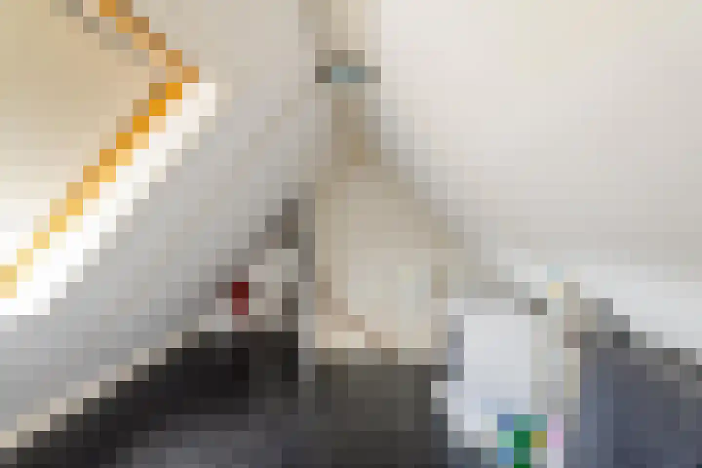 Ruischerwaard 15 Groningen thumbnail 30