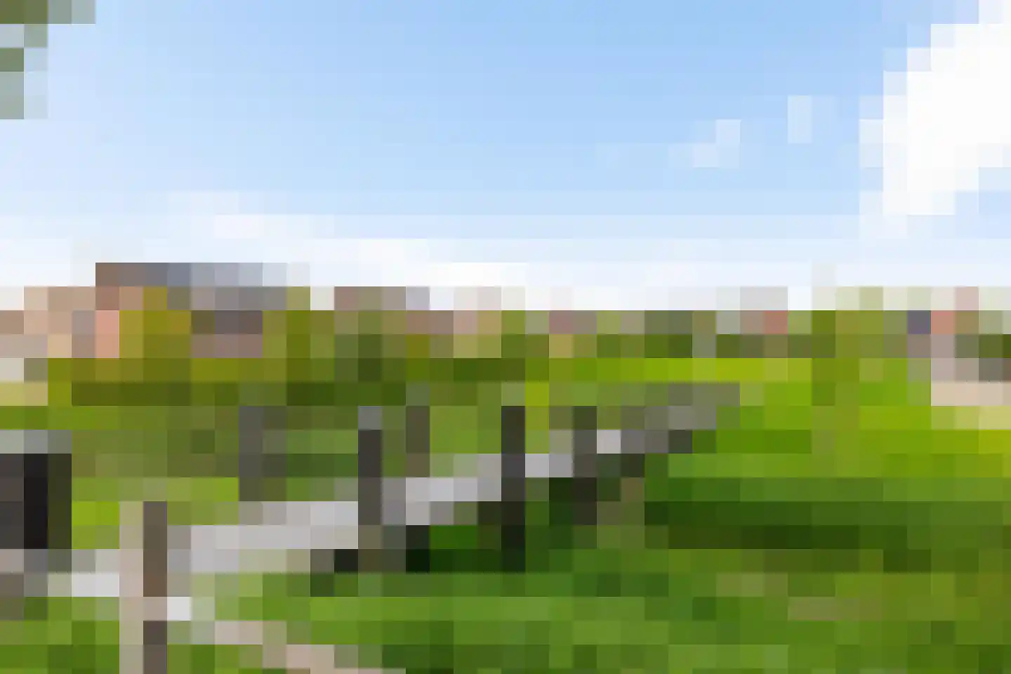 Ruischerwaard 15 Groningen thumbnail 34