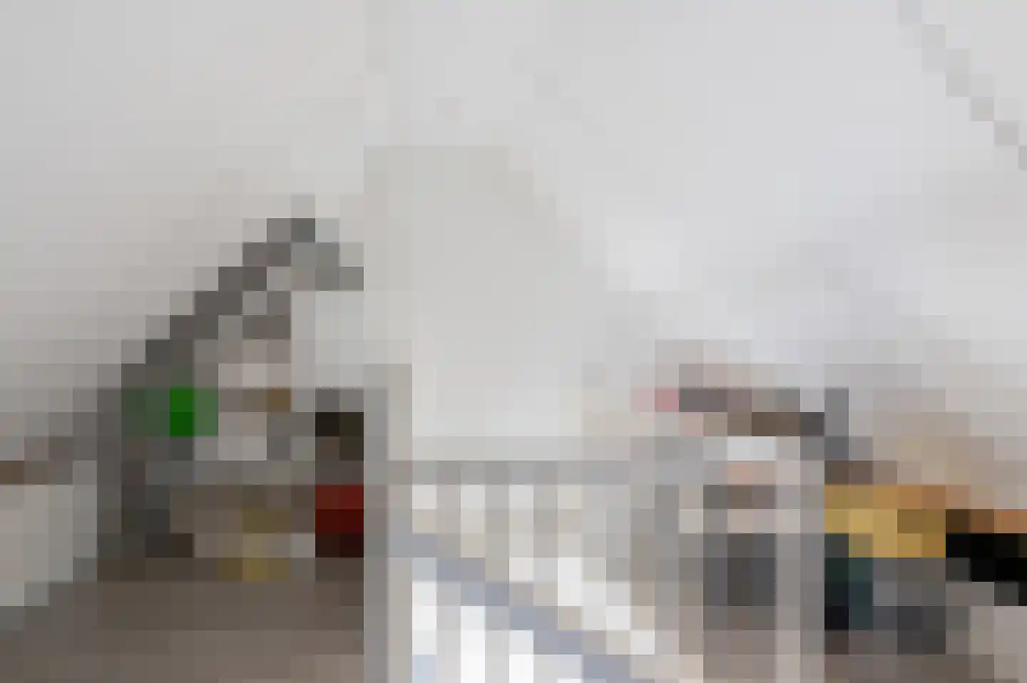 Ruischerwaard 46 Groningen thumbnail 39