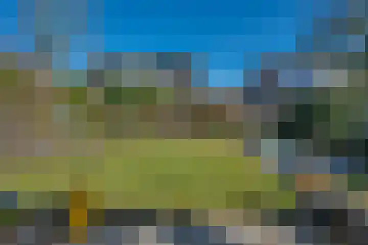 Ruischerwaard 46 Groningen thumbnail 46