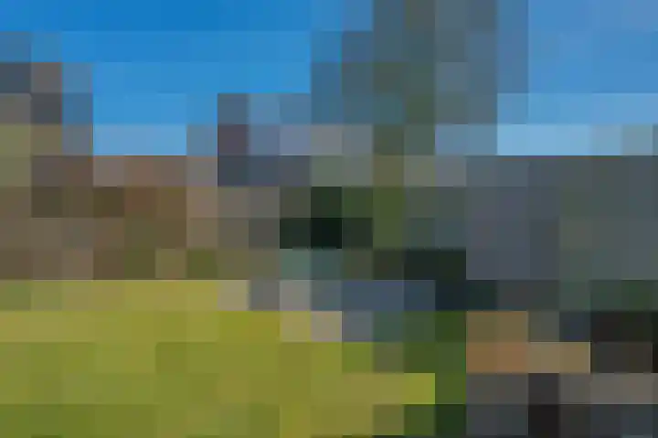 Ruischerwaard 46 Groningen thumbnail 47