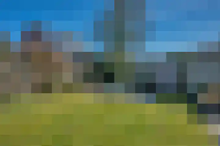 Ruischerwaard 46 Groningen thumbnail 48