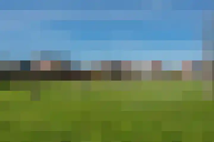Ruischerwaard 46 Groningen thumbnail 61