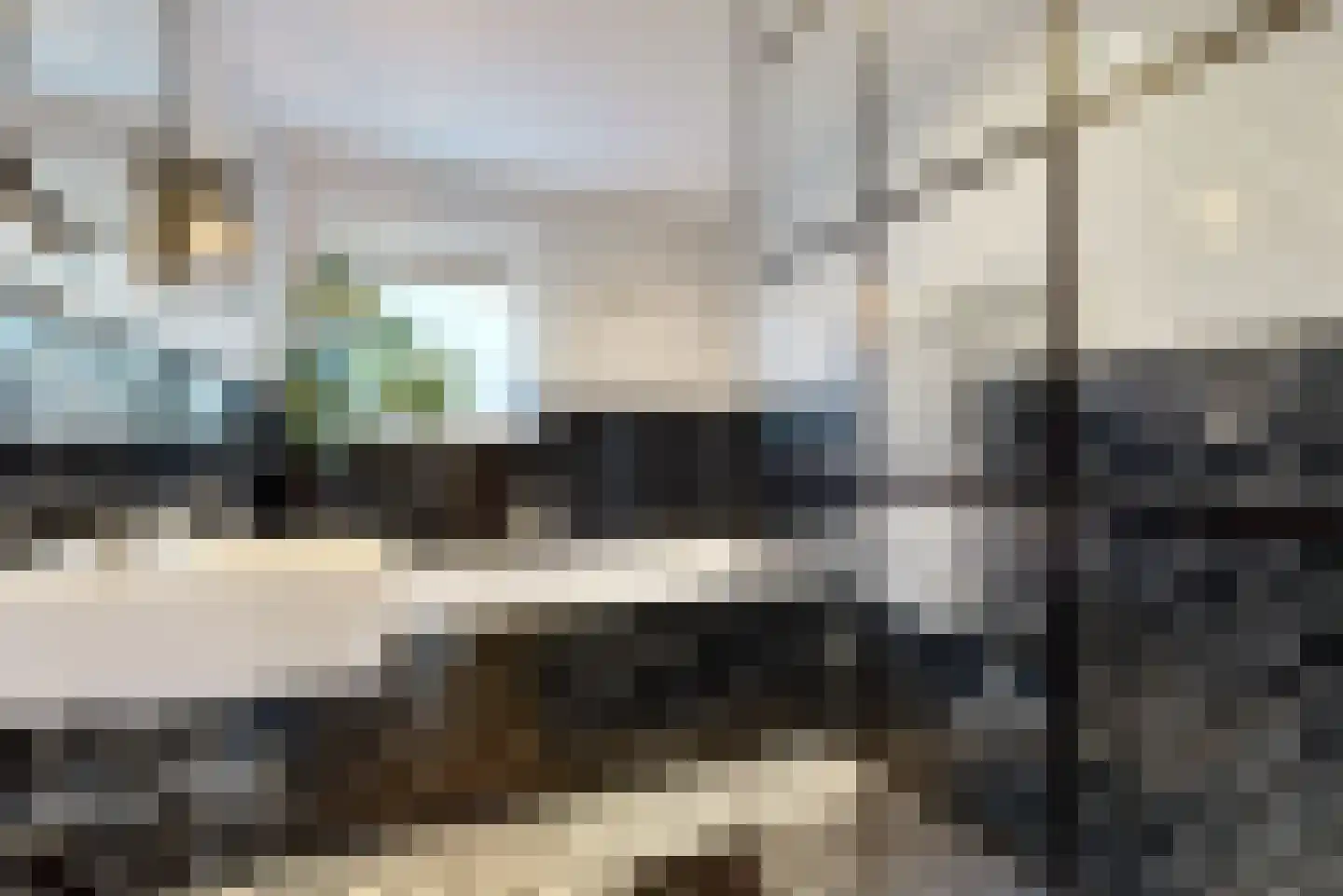 Ruisdaelstraat 13 Alphen aan den Rijn thumbnail 16