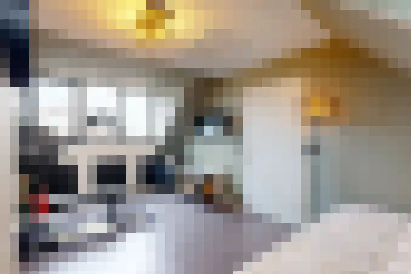 Ruisdaelstraat 13 Alphen aan den Rijn thumbnail 18