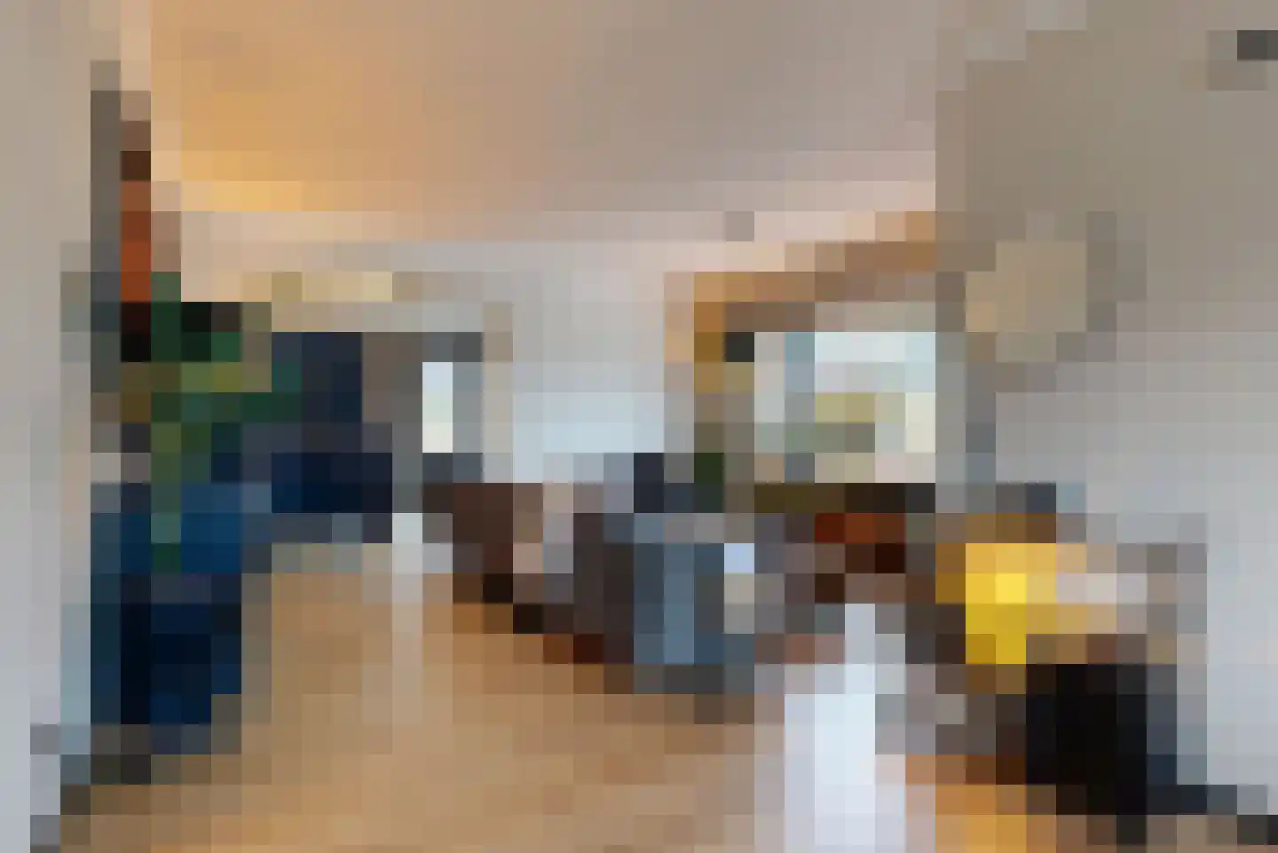 Ruisdaelstraat 13 Alphen aan den Rijn thumbnail 4