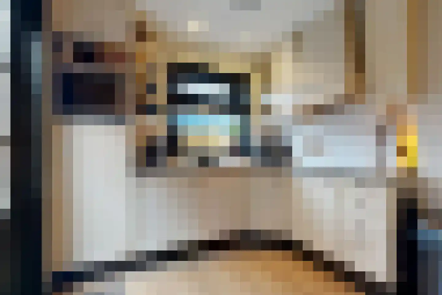Ruisdaelstraat 13 Alphen aan den Rijn thumbnail 7