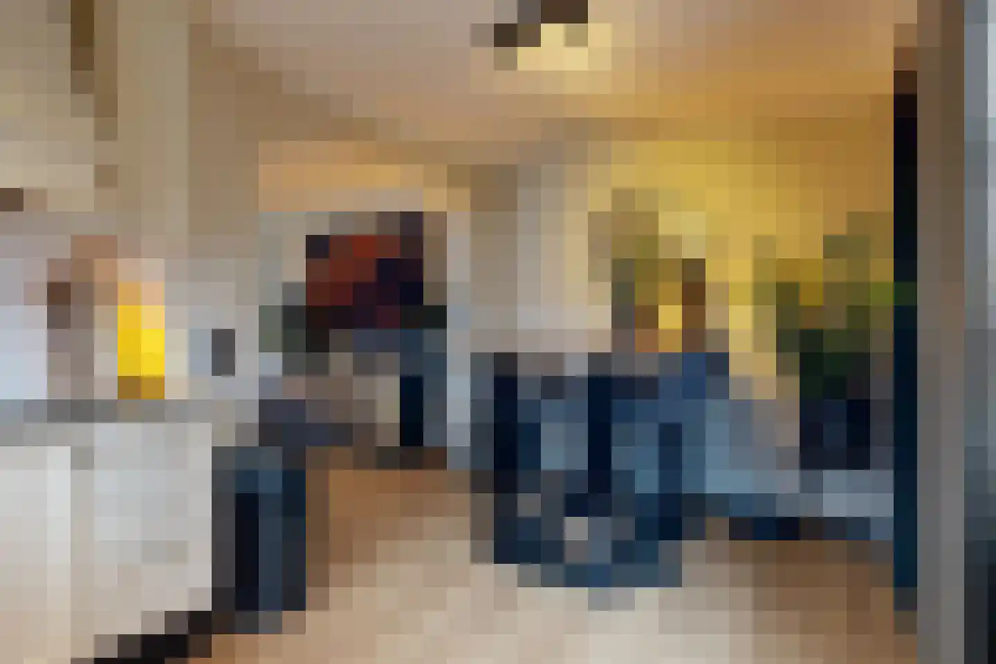 Ruisdaelstraat 13 Alphen aan den Rijn thumbnail 8
