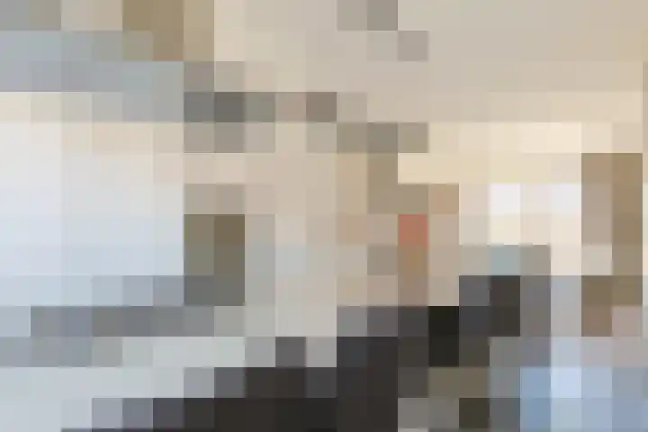 Ruisdaelstraat 21 Alphen aan den Rijn thumbnail 20