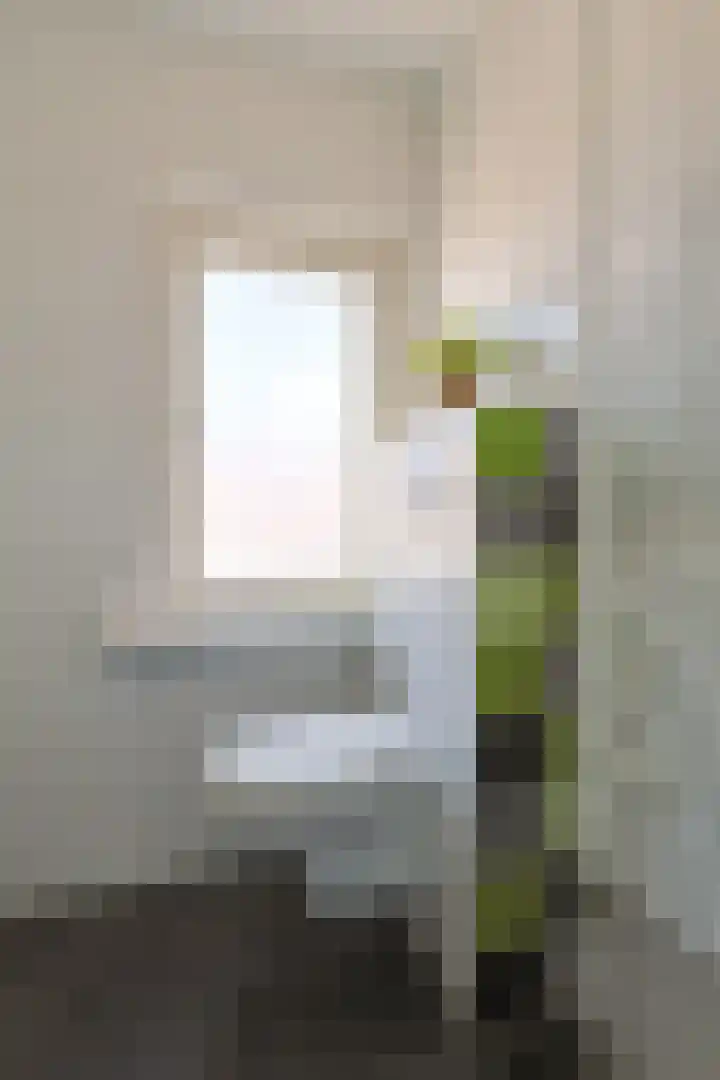 Ruisdaelstraat 21 Alphen aan den Rijn thumbnail 39