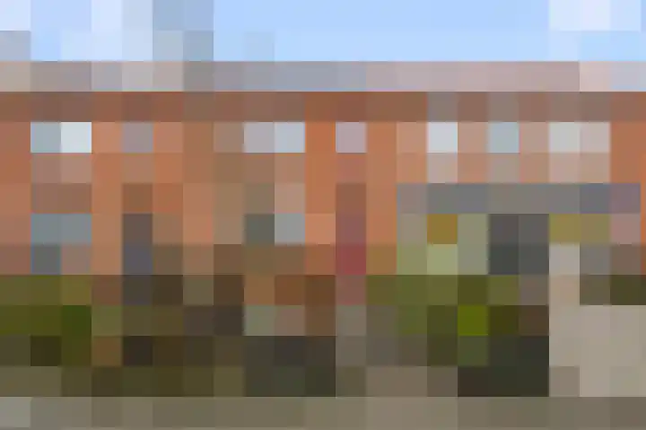 Ruisdaelstraat 25 Alphen aan den Rijn thumbnail 6