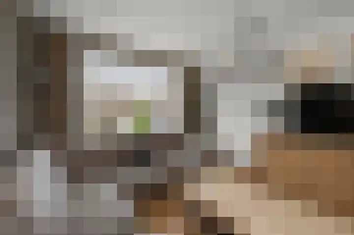 Ruisdaelstraat 25 Alphen aan den Rijn thumbnail 8