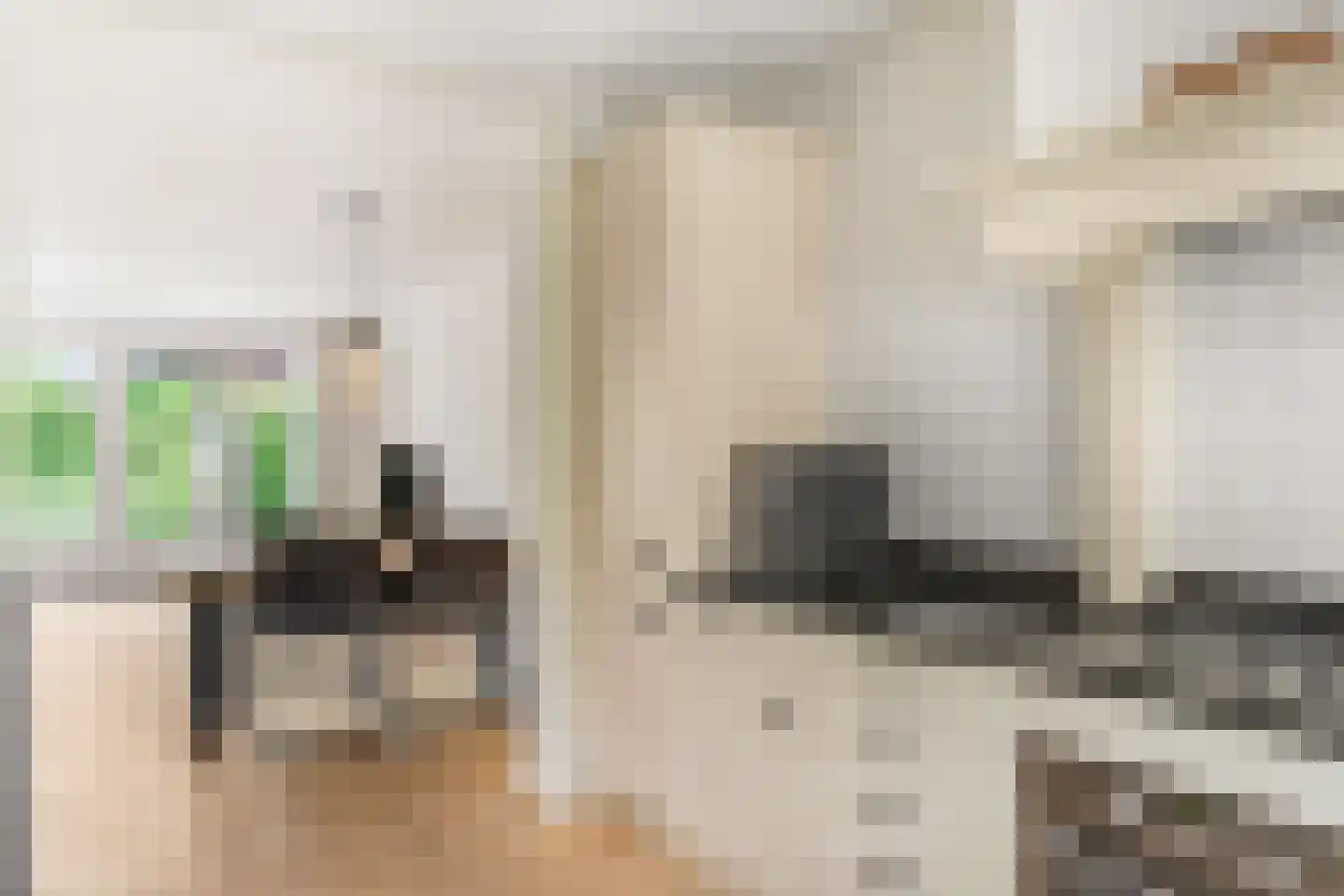Ruisdaelstraat 25 Ede thumbnail 7