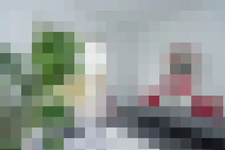 Ruisdaelstraat 28 Nijmegen thumbnail 32