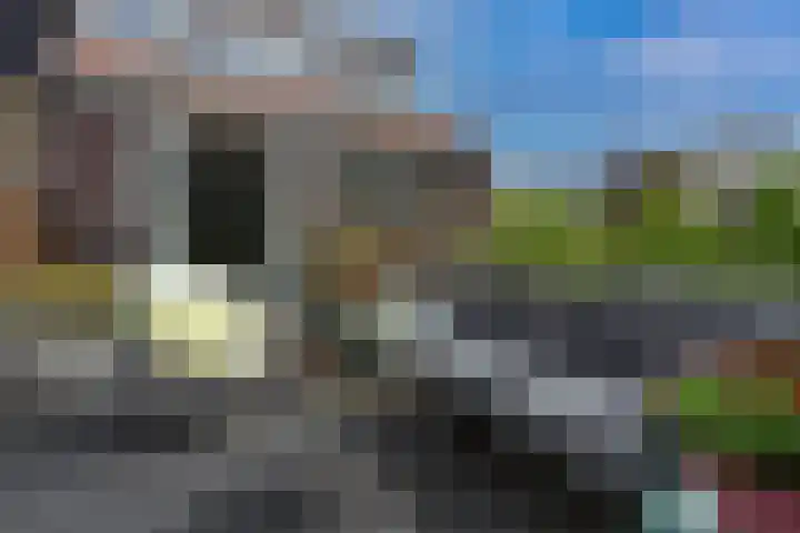 Ruisdaelstraat 28 Nijmegen thumbnail 34
