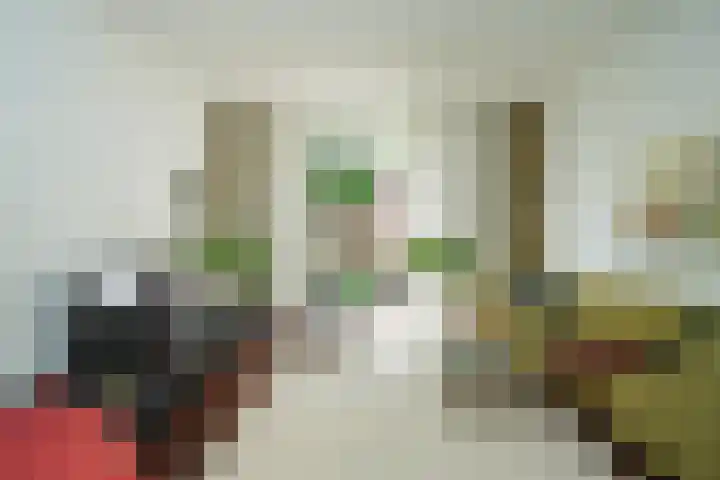 Ruisdaelstraat 28 Nijmegen thumbnail 9