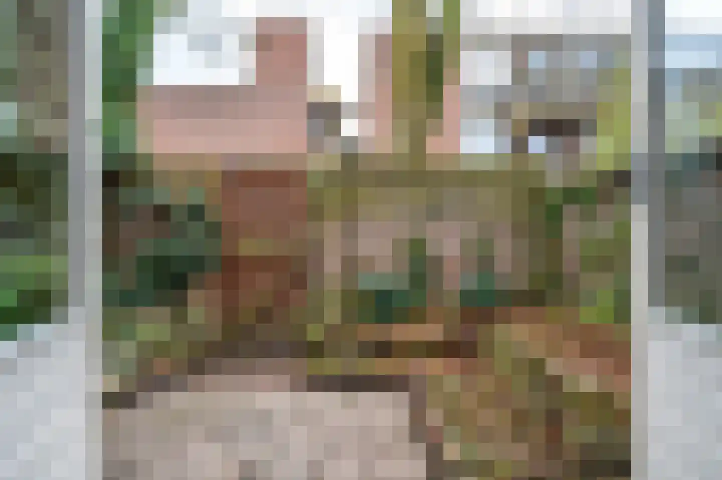 Ruisdaelstraat 30 Nijmegen thumbnail 39