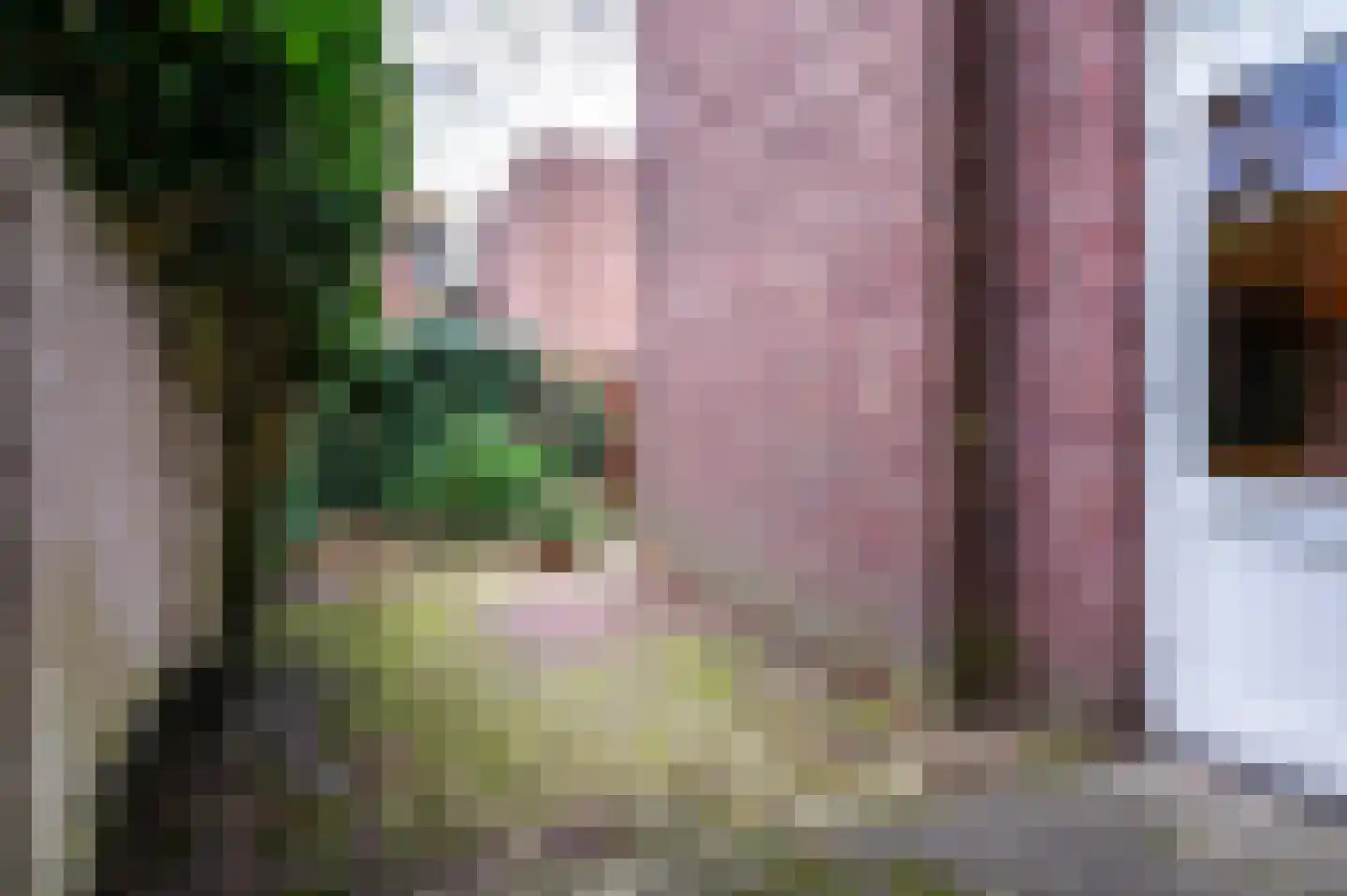 Ruisdaelstraat 30 Nijmegen thumbnail 43