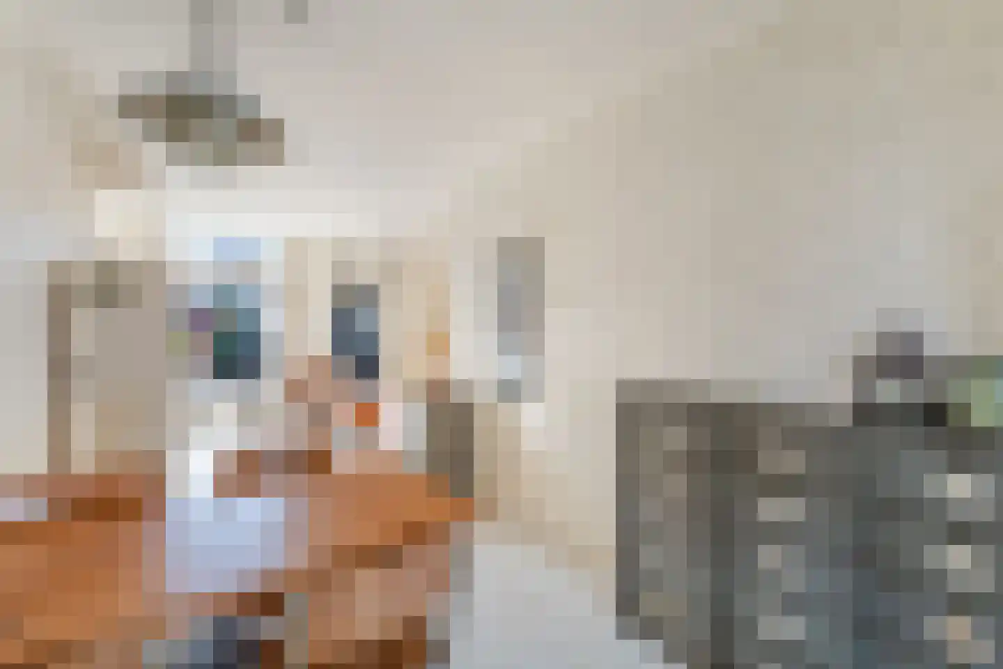 Ruisdaelstraat 36 Alphen aan den Rijn thumbnail 17