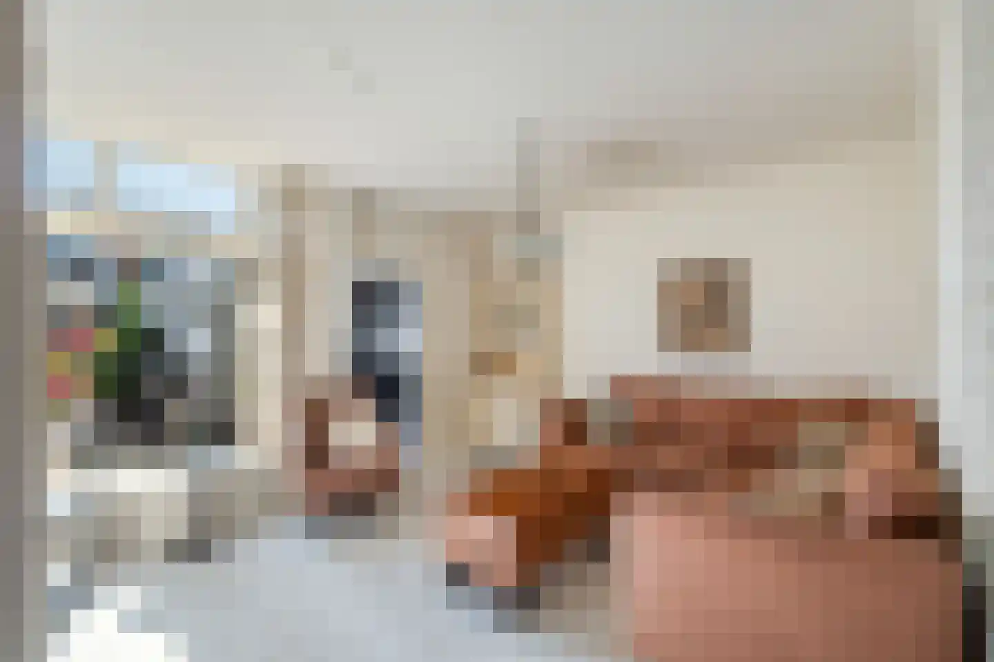 Ruisdaelstraat 36 Alphen aan den Rijn thumbnail 19
