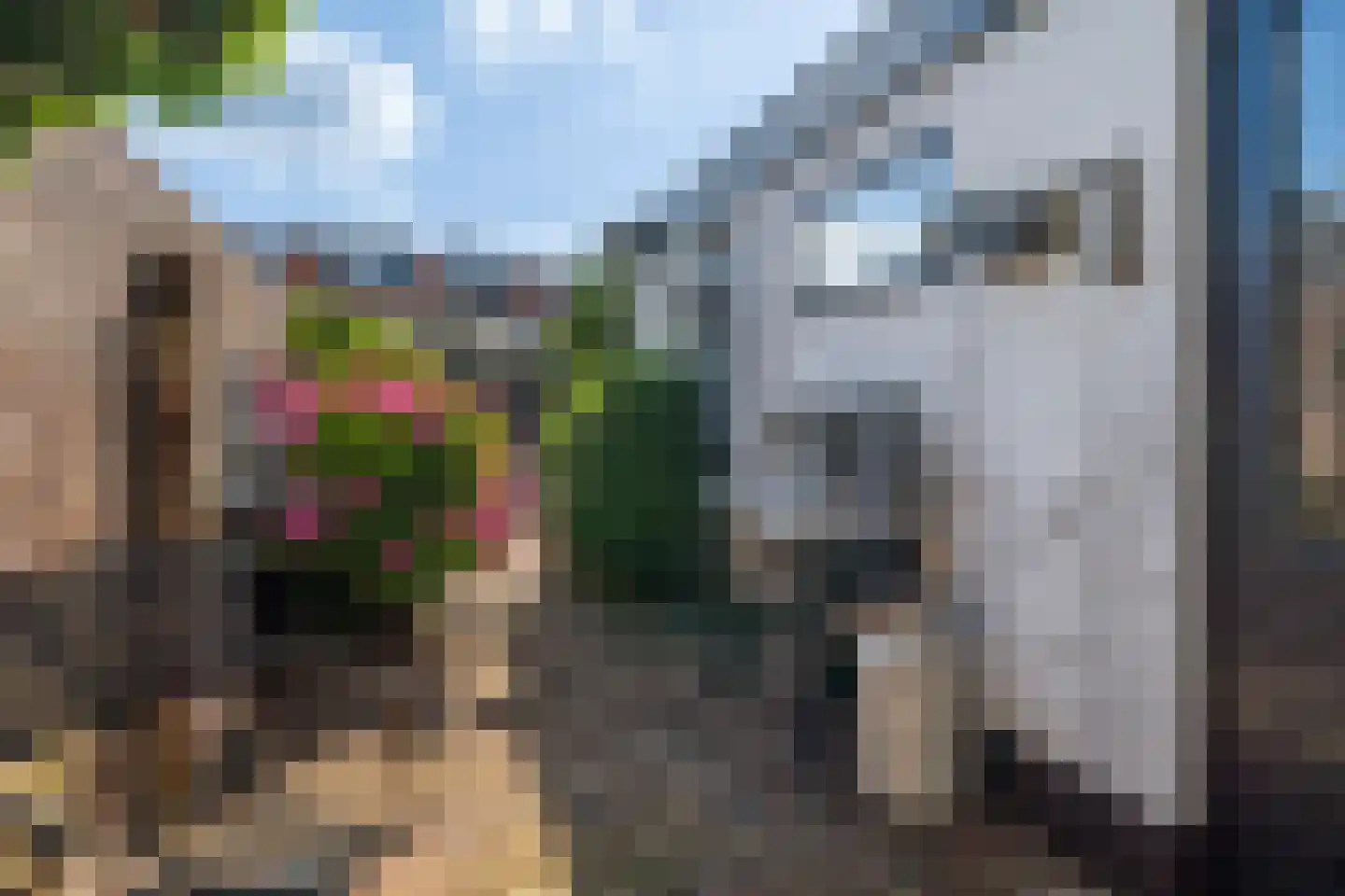 Ruisdaelstraat 36 Alphen aan den Rijn thumbnail 33
