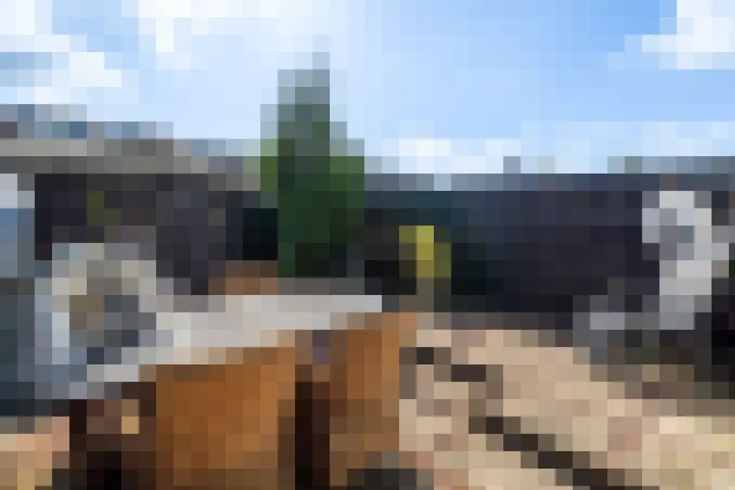 Ruisdaelstraat 36 Alphen aan den Rijn thumbnail 34