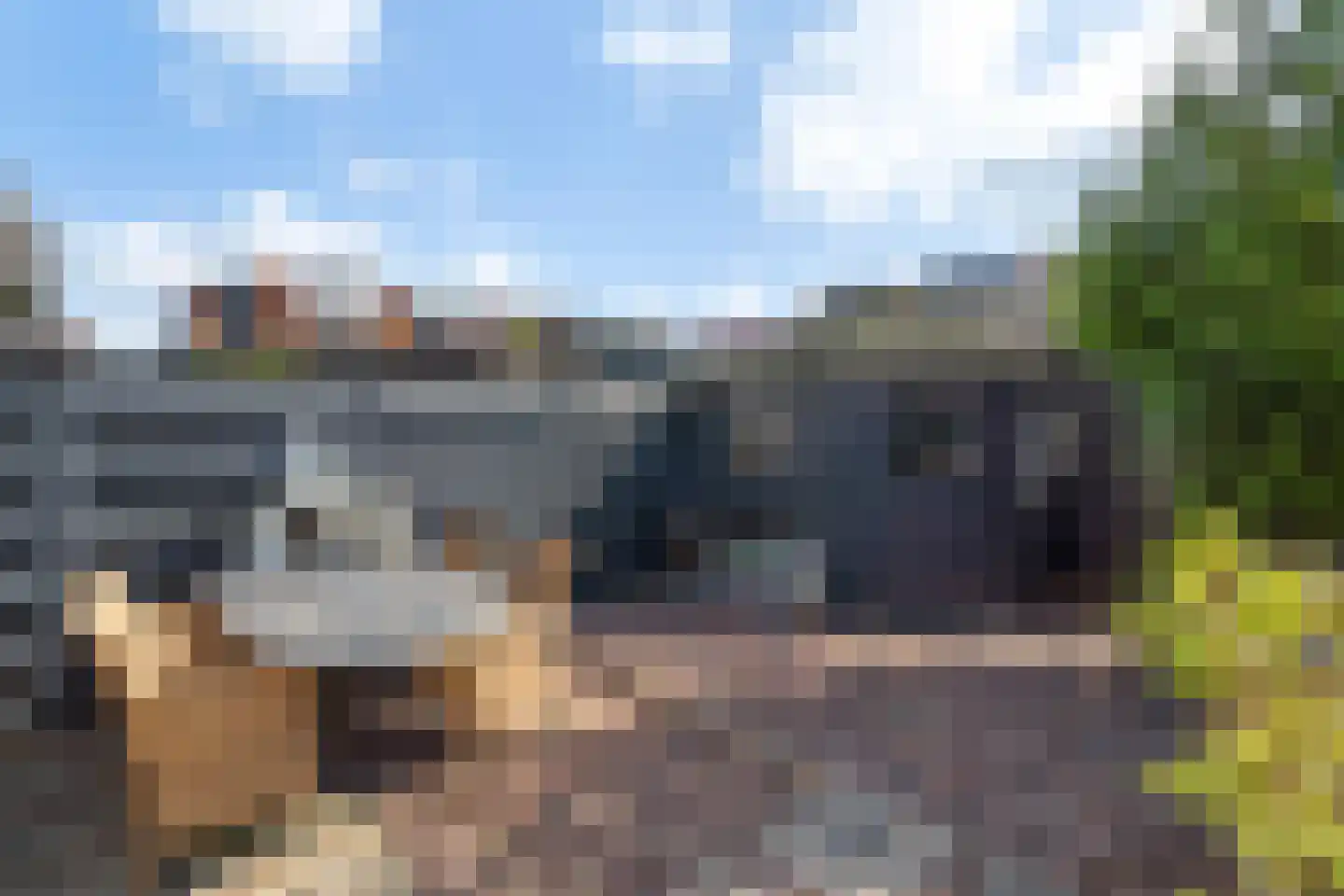Ruisdaelstraat 36 Alphen aan den Rijn thumbnail 35