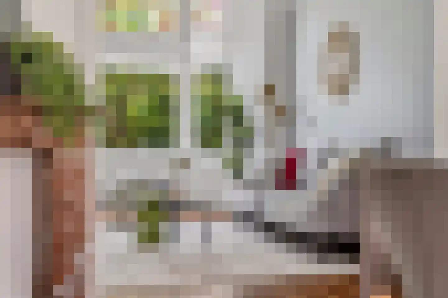 Ruisdaelstraat 38 Nijmegen thumbnail 18