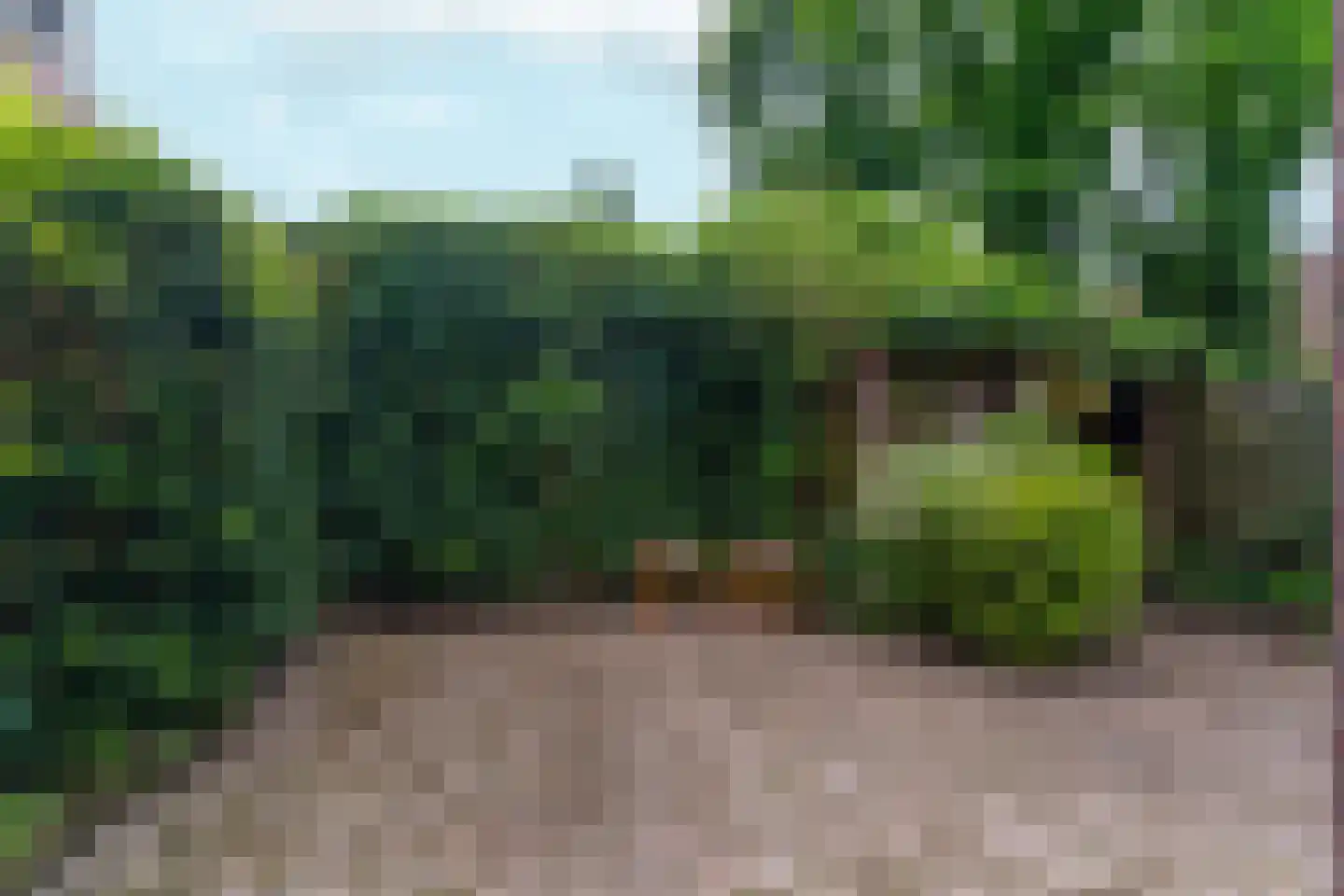 Ruisdaelstraat 38 Nijmegen thumbnail 6