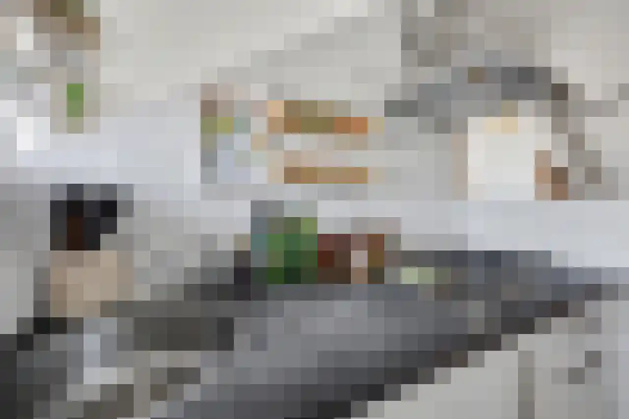 Ruisdaelstraat 52 Nijmegen thumbnail 29