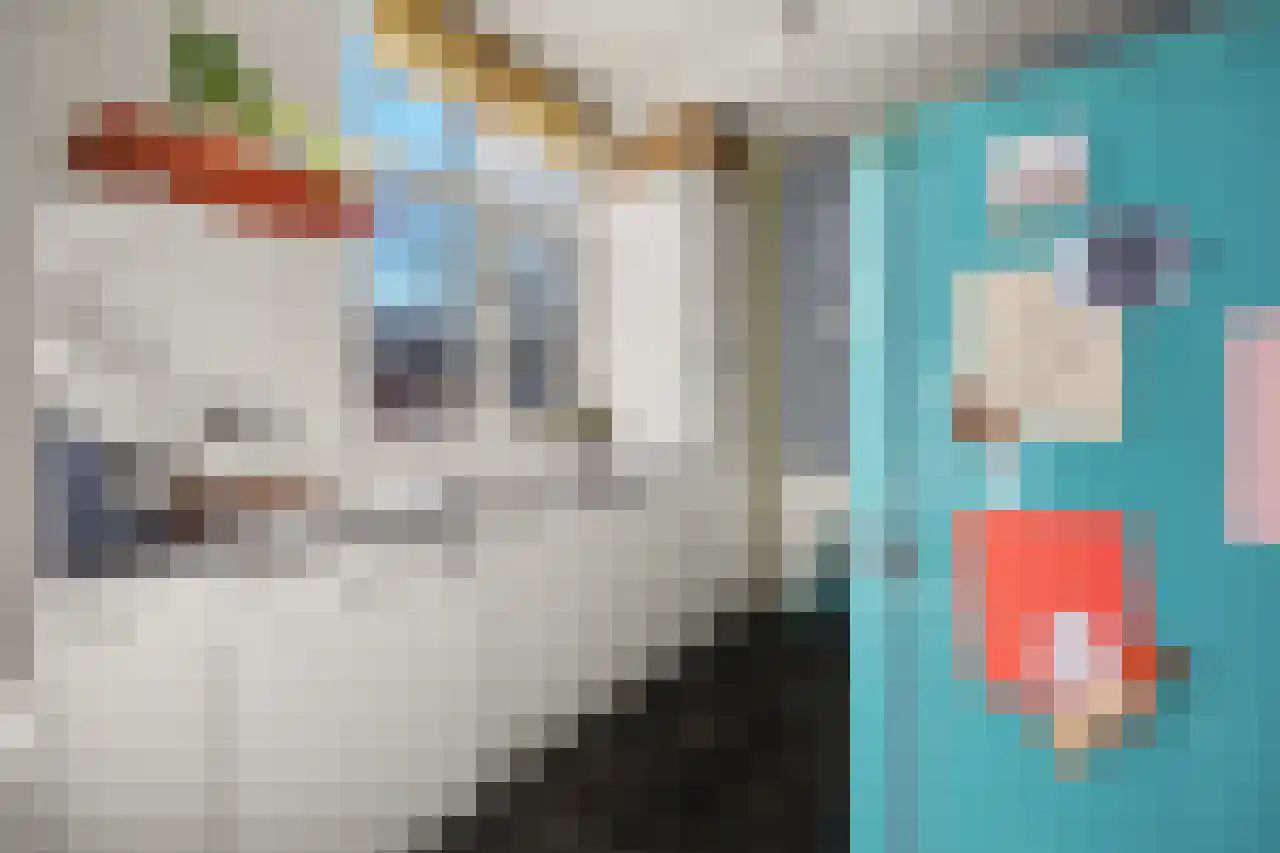 Ruisdaelstraat 52 Nijmegen thumbnail 5