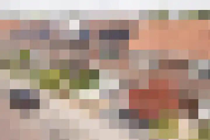 Ruisdaelstraat 6 in Alphen aan den Rijn