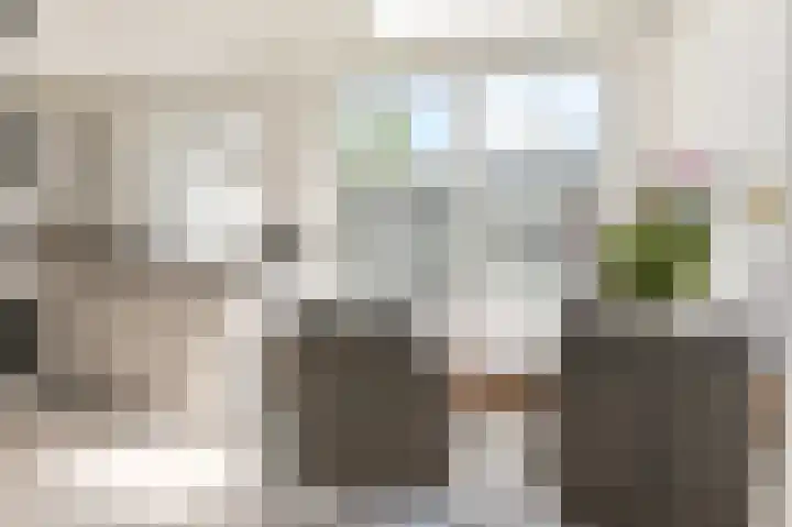 Ruisdaelstraat 6 Alphen aan den Rijn thumbnail 19