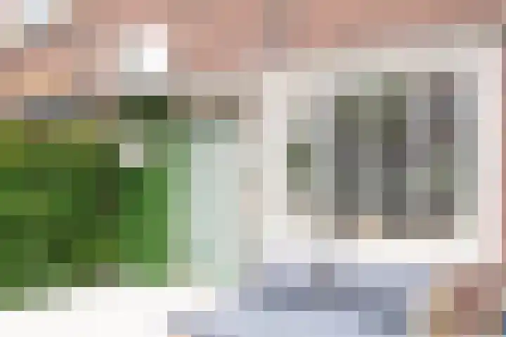 Ruisdaelstraat 6 Alphen aan den Rijn thumbnail 4