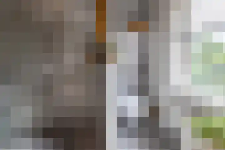 Ruisdaelstraat 70 Nijmegen thumbnail 33