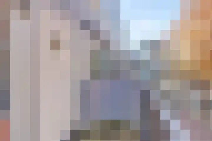 Ruiseveenpad 116 Amsterdam thumbnail 4