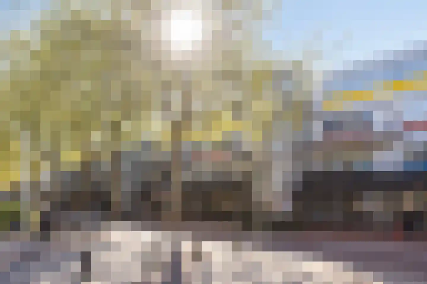 Ruiseveenpad 68 Amsterdam thumbnail 6
