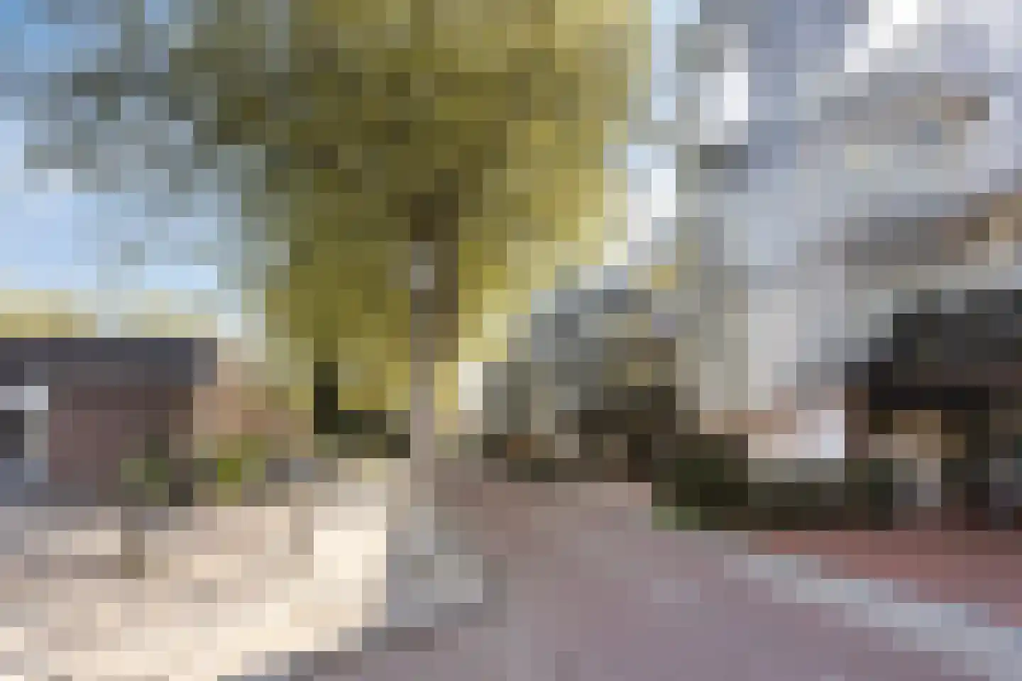 Ruiseveenpad 68 Amsterdam thumbnail 7