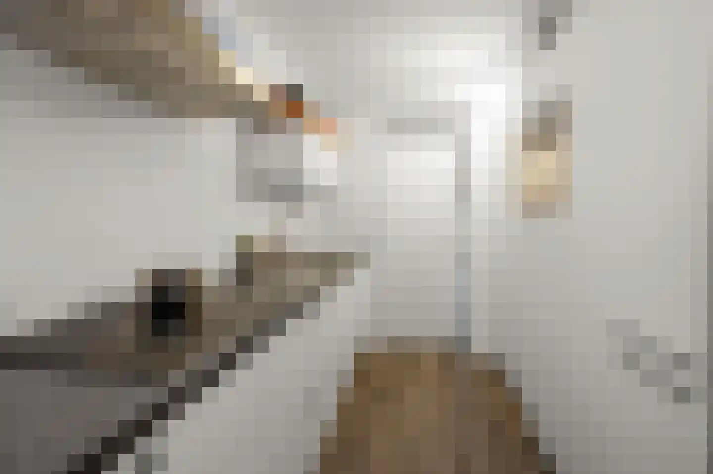 Ruiseveenpad 86 Amsterdam thumbnail 10