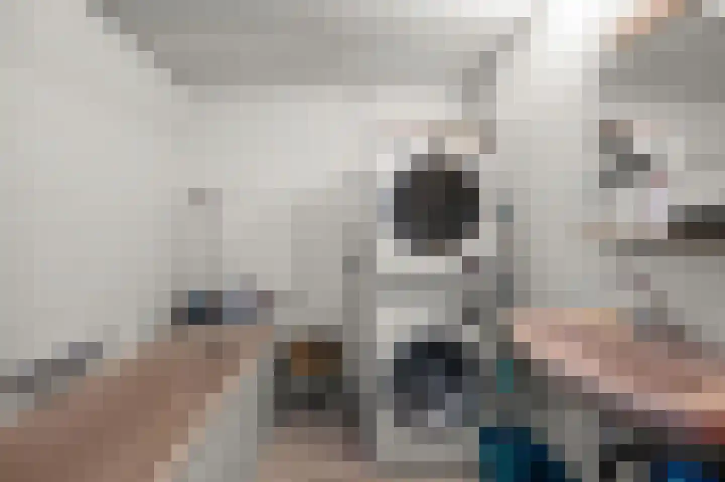 Ruiseveenpad 86 Amsterdam thumbnail 12
