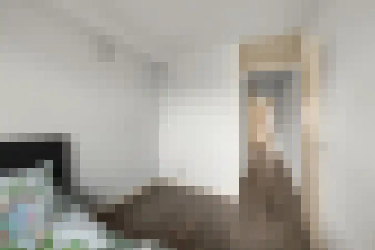 Ruiseveenpad 86 Amsterdam thumbnail 16