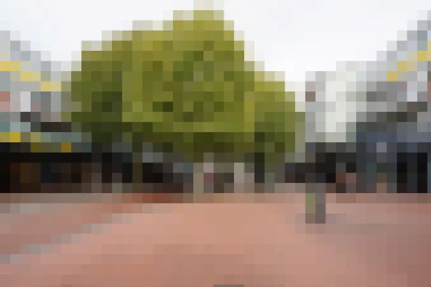 Ruiseveenpad 86 Amsterdam thumbnail 25
