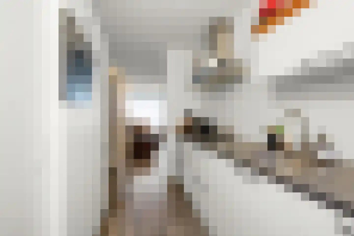 Ruiseveenpad 86 Amsterdam thumbnail 9