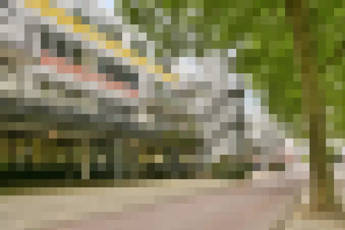 Ruiseveenpad 92 Amsterdam thumbnail 22